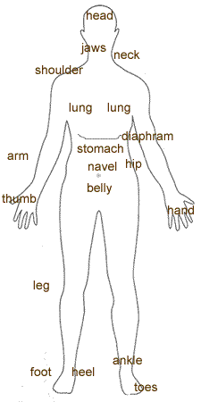 body