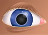 sight