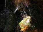 Preview - Click to magnify